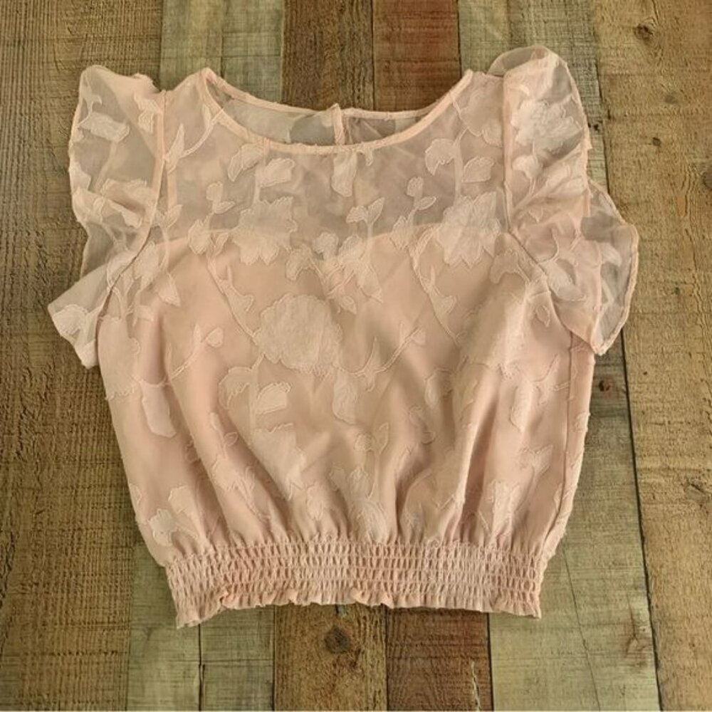 Cupcakes & Cashmere women's size x-small Cropped floral embroidered top